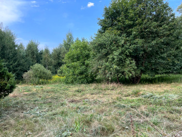 Działka siedliskowa Gzin, Dąbrowa Chełmińska