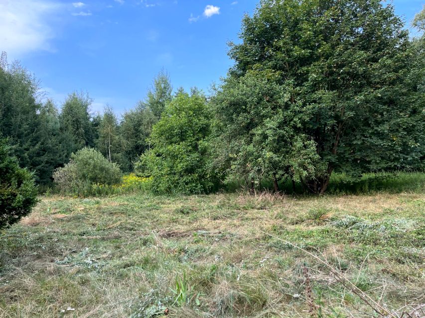 Działka siedliskowa Gzin, Dąbrowa Chełmińska