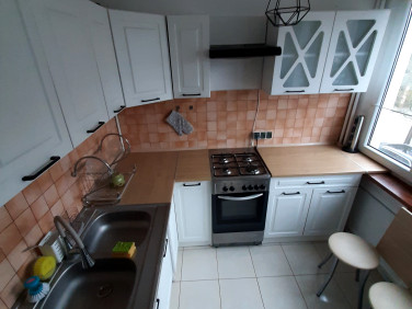 Mieszkanie Toruń wynajem