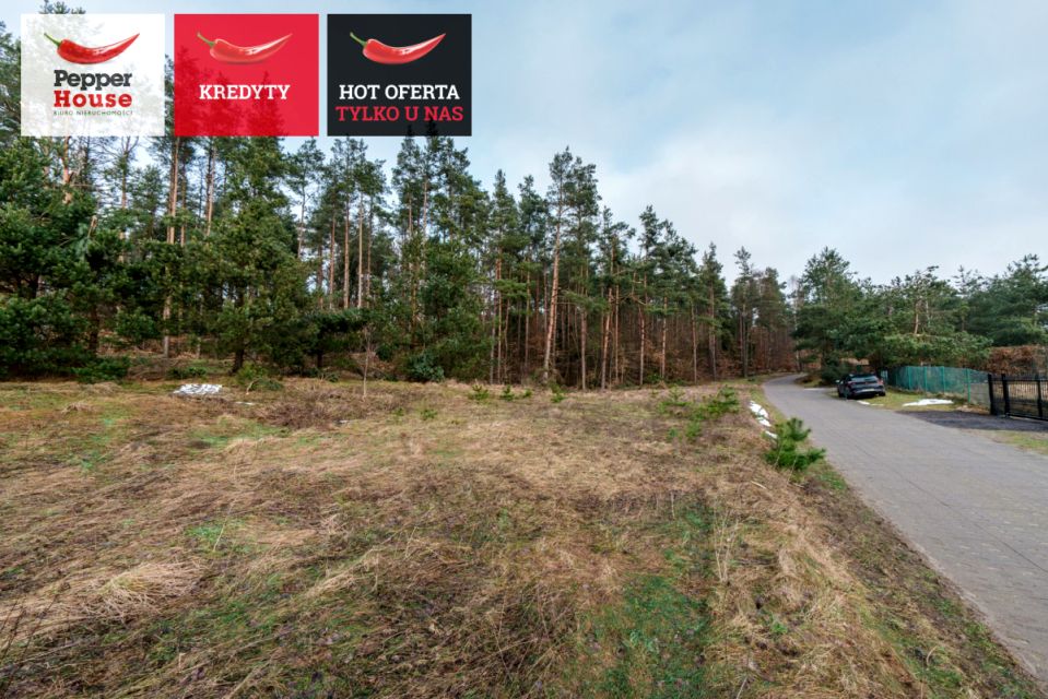 Działka przy lesie