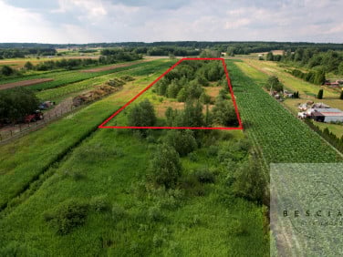 Działka budowlana Zaczarnie