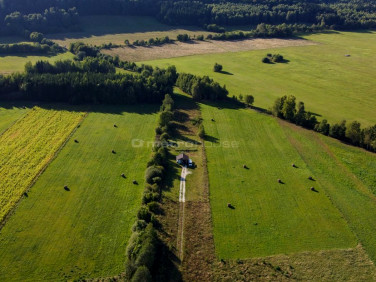 Działka siedliskowa Różanka