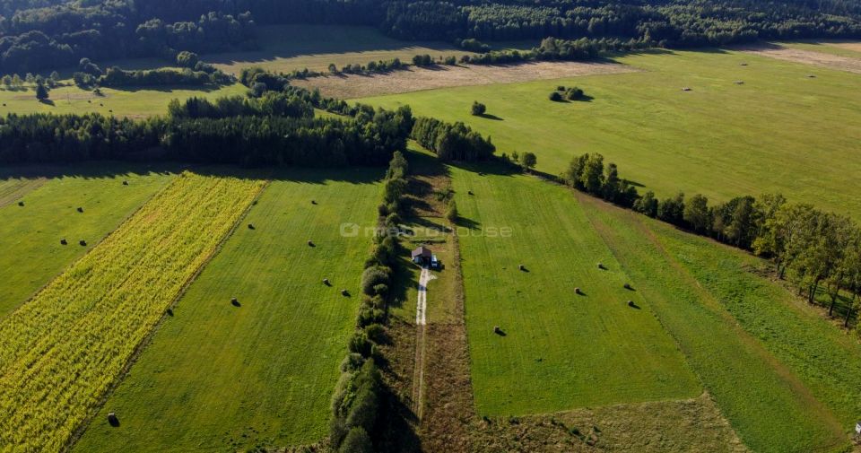 Działka siedliskowa Różanka