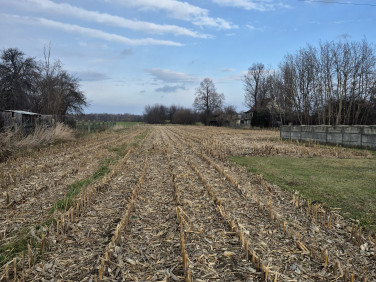Działka budowlana Ligota Łabędzka