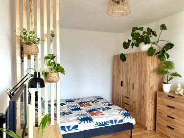 Mieszkanie Cieszyn wynajem