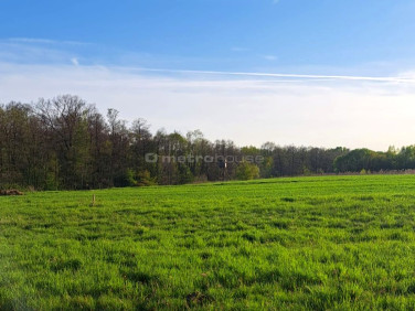 Działka budowlano-rolna Knurów sprzedam