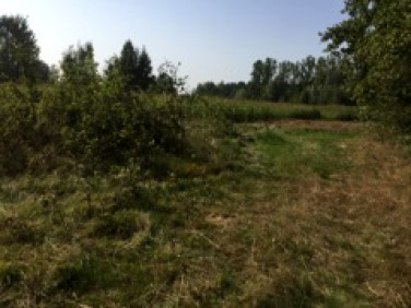 Działka budowlano-rolna Klembów sprzedam