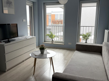 Mieszkanie Kraków wynajem