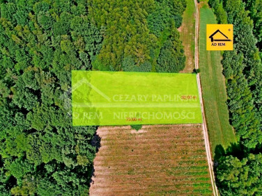 Działka rekreacyjna Uściąż