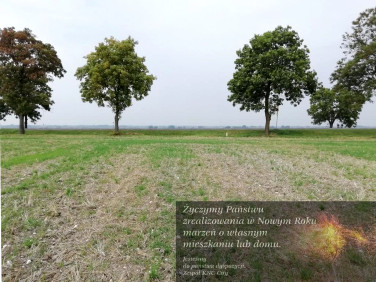 Działka Nowe Chojno