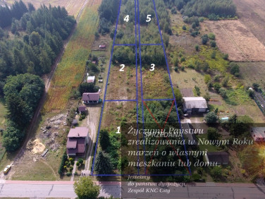 Działka budowlana Dąbrowa