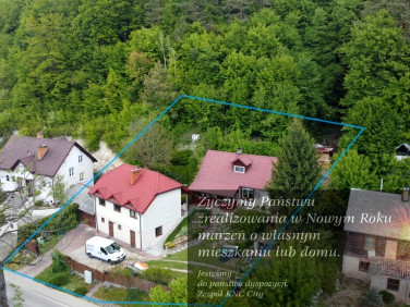 Dom wolnostojący sprzedaż