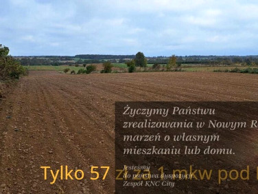 Działka budowlana Panieńszczyzna