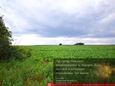 Działka usługowa sprzedam