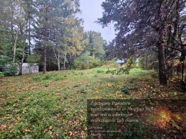 Działka rekreacyjna Rogóźno