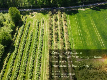 Działka Kamień-Kolonia