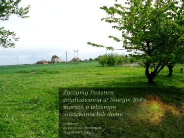 Działka rolna Pawlin sprzedam