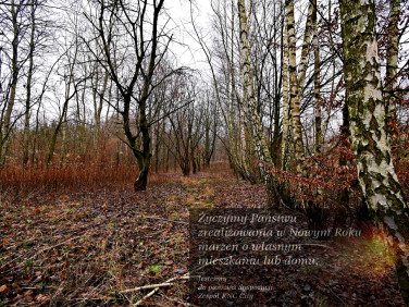 Działka rolna Kazimierz Dolny sprzedam