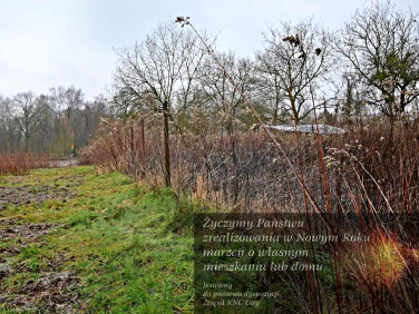 Działka rolna Kazimierz Dolny