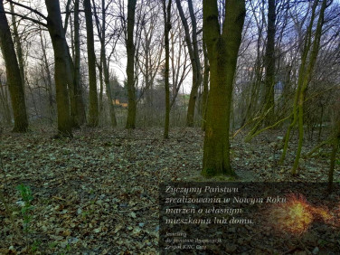 Działka leśna Kocianów