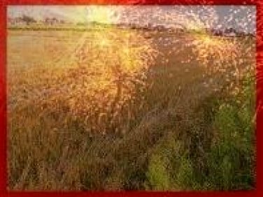 Działka budowlana Lublin