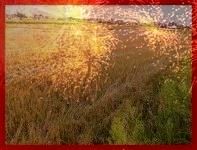 Działka budowlana Lublin