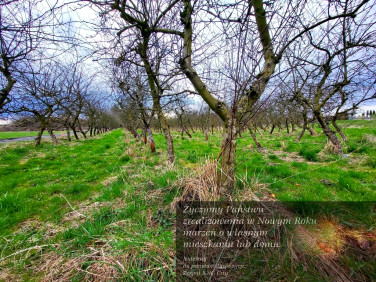 Działka budowlana Motycz