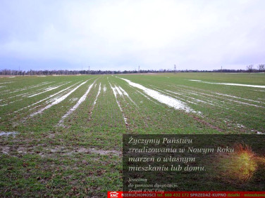 Działka Wierciszów