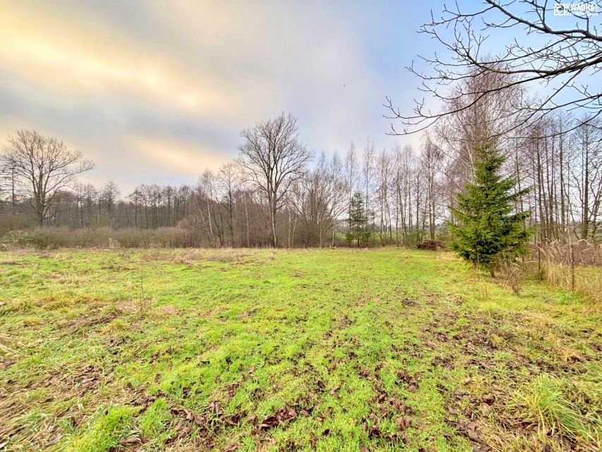 Działka budowlana Motycz