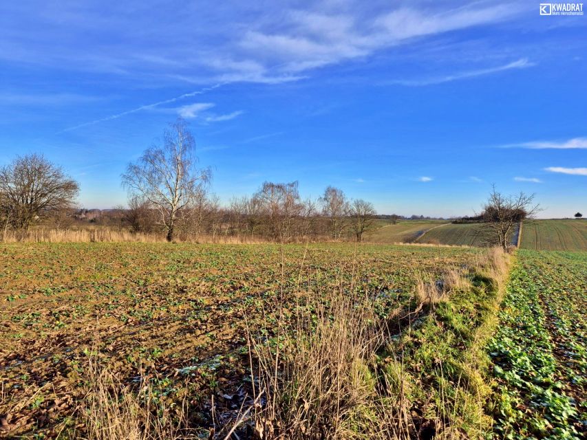 Działka budowlana Natalin