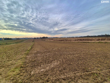 Działka budowlana Dys