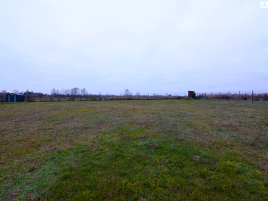 Działka budowlana Wola Niemiecka