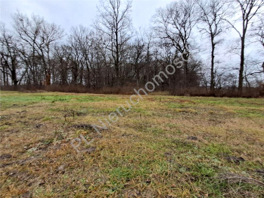 Działka Kraśnicza Wola