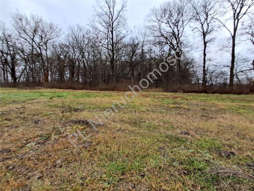 Działka Kraśnicza Wola