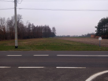 Działka budowlana Wola Szczucińska sprzedam