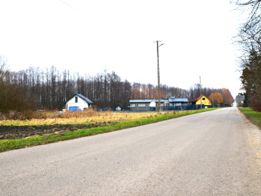 Działka siedliskowa Kumów Majoracki sprzedam