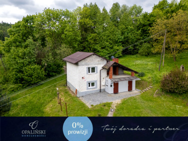 Dom Łopuszka Wielka