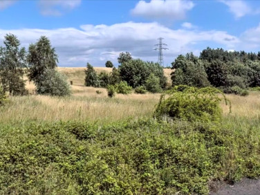 Działka budowlana Świebodzice