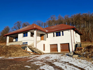 Dom wolnostojący sprzedaż