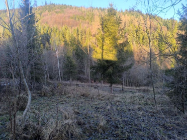 Działka budowlana Zwardoń