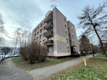 Mieszkanie Świętochłowice