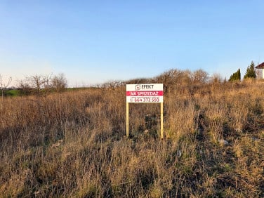 Działka budowlana Gniezno