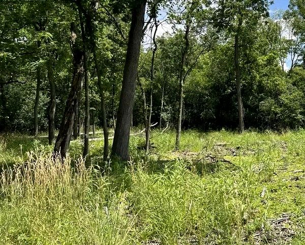 Działka budowlana Kampinos A