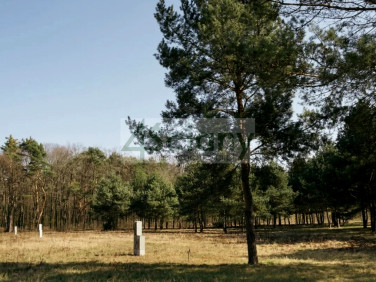 Działka budowlana Rajszew