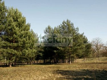 Działka budowlana sprzedam