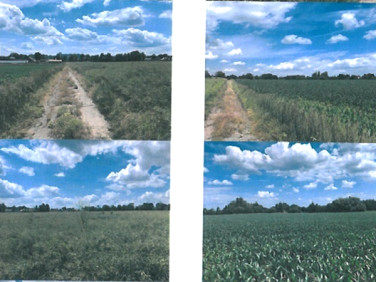 Działka budowlana Kraków