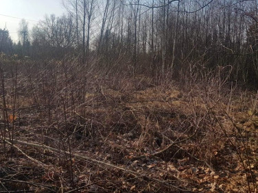 Działka budowlana Kobyłka