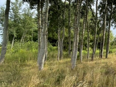 Działka budowlana Kampinos A