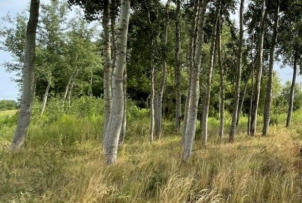 Działka budowlana Kampinos A