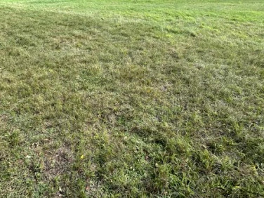 Działka budowlana Truskaw